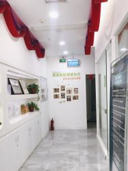 -莱可美科技美肤