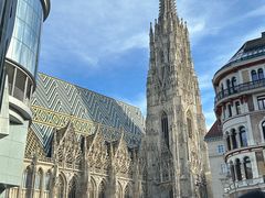 -斯蒂芬主教座堂(Stephansdom)