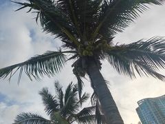 -珠海拱北口岸