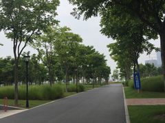 -前滩友城公园-停车场