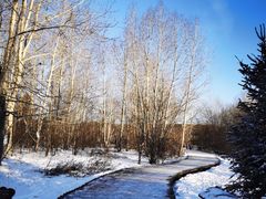 -北极村旅游风景区