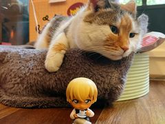 -浅行深作咖啡坊