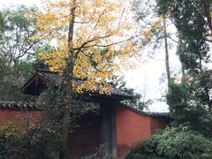 -如家酒店·neo(成都春熙路太古里书院街店)