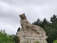 -帽儿山国家森林公园