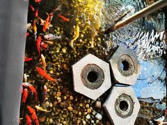 -衡山汇·高级粤菜(霄云路店)