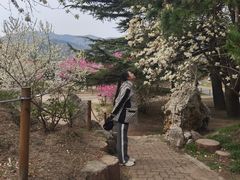 -国家植物园南园