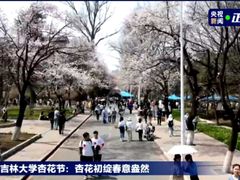 -吉林大学(南岭校区)