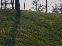 -南山公园