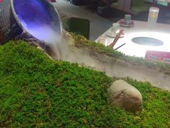 -九鼎轩火锅大排挡