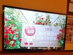 -西贝(六里桥旗舰店)