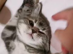-达爱动物医院·犬猫分区·CT·复杂眼科(远洋山水分院)