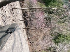 -北京十三陵国家森林公园蟒山景区