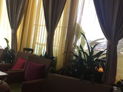 卡座-润园四季椰子鸡火锅(海上世界店)