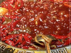 -渝大狮毛肚老火锅(普陀店)