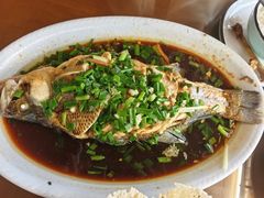 -芦茨金富饭庄·25年老字号·专做稻草鸡
