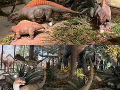 -湖南省地质博物馆