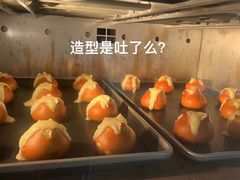 -面包日报