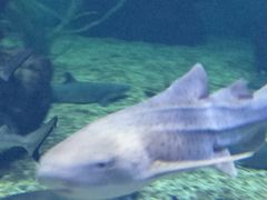 -多彩贵州城极地海洋世界