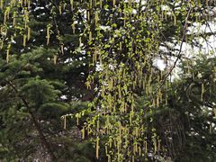 -黛秀湖公园
