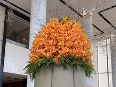 -成都尼依格罗酒店
