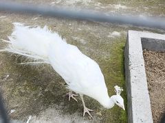 -池杉湖湿地公园