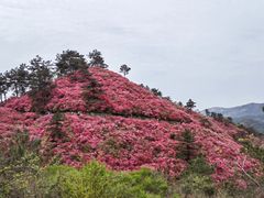 -木兰云雾山