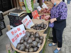 -海窝子古镇