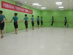 -舞蕾舞蹈(特长生校区)