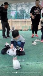 -萌宠亲子动物乐园(槐房万达店)