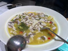 -青花椒花椒鱼(合生汇店)