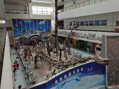-中国地质大学逸夫博物馆