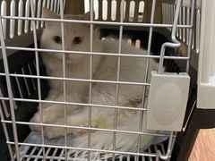 -荔康动物医院(康王北路店)