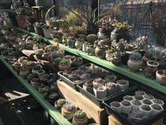 -北马山庄植趣咖啡