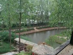 -合肥滨湖国家森林公园