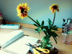 寝室-湖南工业大学(主校区（河西校区）)