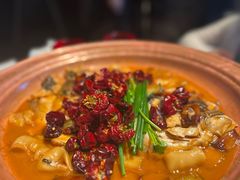 -柿合缘新京菜(国金中心商场店)