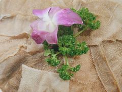 -伊尚宫·清真广式早茶.韩式烤肉·火锅