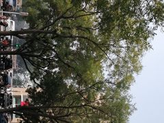 -安贞医院-停车场