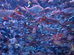 -成都浩海立方海洋公园