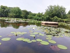 -白马涧龙池景区