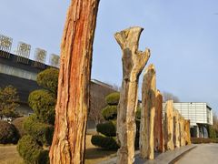 -石家庄市植物园