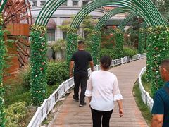 -聚龙湖公园