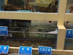 -双井轩(双井店)