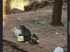 -昆明动物园