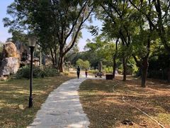 -东莞植物园
