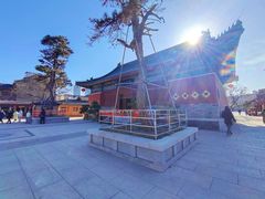 -天津大悲禅院