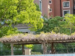 -苏州河梦清园环保主题公园