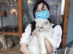 -喵屿·大理花园猫咖