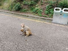 -黔灵山公园