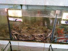 -秋姐美食店(旅游大道店)